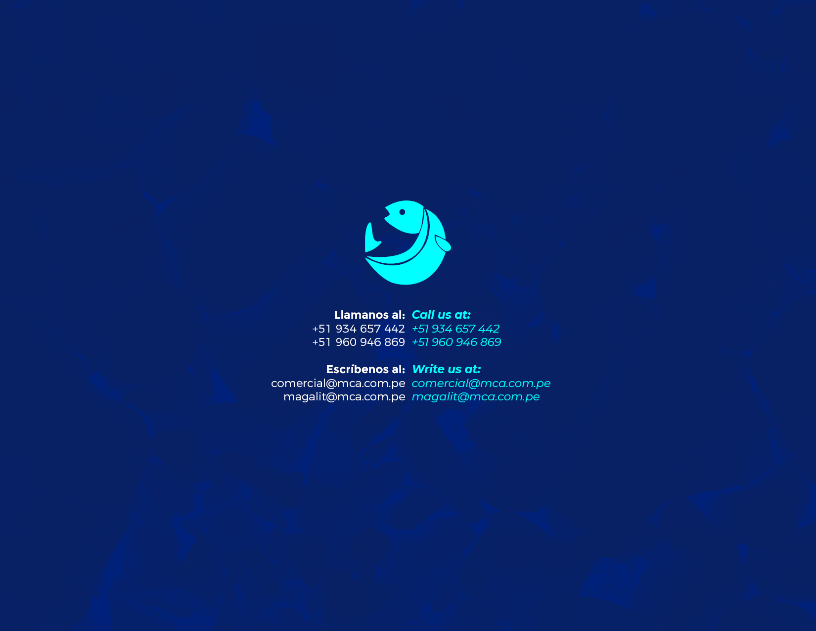 brochure 1